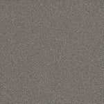 Load image into Gallery viewer, Blazer I DreamWeaver carpet
