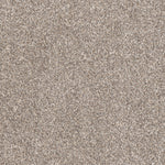 Load image into Gallery viewer, Affinity Iii DreamWeaver carpet
