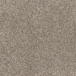 Load image into Gallery viewer, Affinity Iv DreamWeaver carpet
