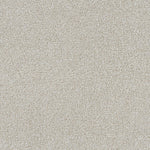 Load image into Gallery viewer, Mirage I DreamWeaver carpet
