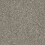 Load image into Gallery viewer, Luxor Ii DreamWeaver carpet
