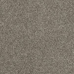 Load image into Gallery viewer, Hollywood DreamWeaver carpet
