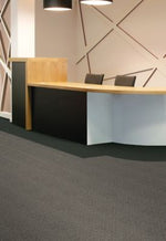 Load image into Gallery viewer, Contemplate Aladdin Commercial broadloom
