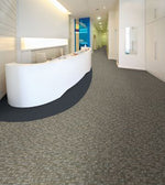 Load image into Gallery viewer, Enduring Function Aladdin Commercial broadloom
