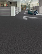Load image into Gallery viewer, Traction Ii Aladdin Commercial broadloom
