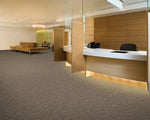 Load image into Gallery viewer, Front &amp; Center Aladdin Commercial broadloom

