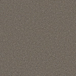 Load image into Gallery viewer, Cosmopolitan Ii DreamWeaver carpet
