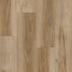 Ozark Hickory