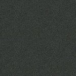 Load image into Gallery viewer, Formwork - Broadloom FWK79 Spar

