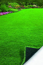 Load image into Gallery viewer, Venice 3496 Grass detail
