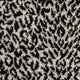 Lucea - Jaguar