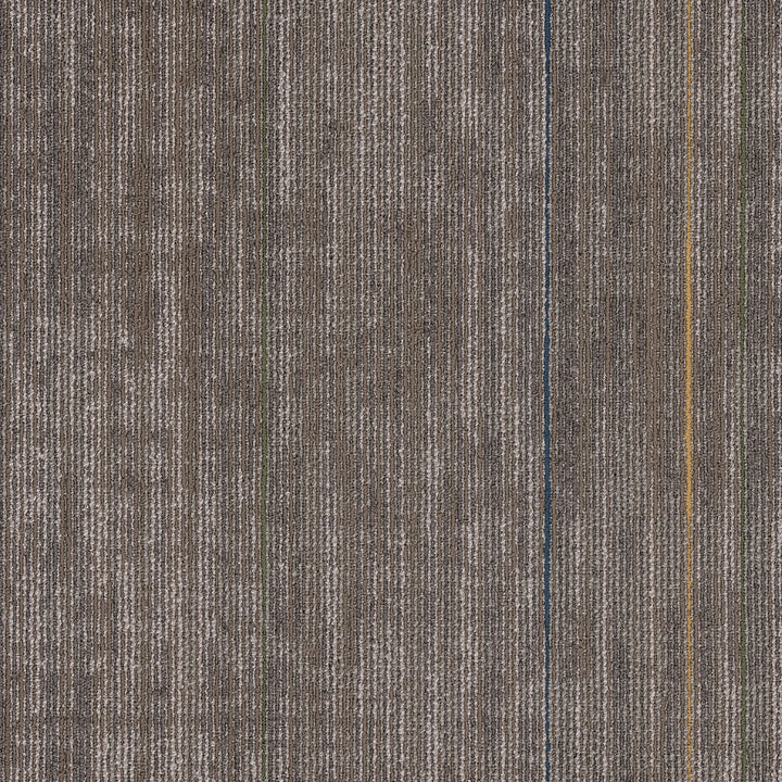Inclusion Color