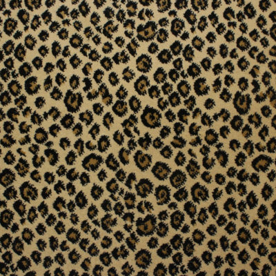 New Leopard