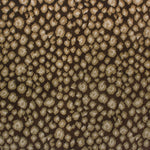 Load image into Gallery viewer, New Leopard - Nairobi
