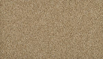 Load image into Gallery viewer, Iconic Look I - ['Warm Almond'] (['725'])
