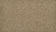 Flax Seed (789)