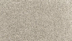 Load image into Gallery viewer, Assorted Elements I - ['Silver Dollar'] (['938'])
