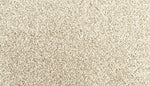 Load image into Gallery viewer, Assorted Elements II - ['Sanderling'] (['717'])
