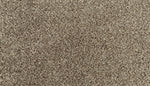 Load image into Gallery viewer, Essential Factors II - ['Shimmer Ash'] (['879'])
