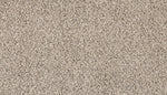 Load image into Gallery viewer, Essential Factors II - ['Silver Dollar'] (['938'])
