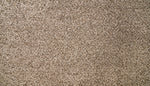 Load image into Gallery viewer, Natural Selection II - Pebble Path (765)
