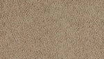Load image into Gallery viewer, Marciano - ['Toffee Cream'] (['742'])
