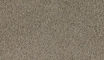 Load image into Gallery viewer, Marciano - ['Flannel'] (['945'])
