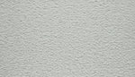 Load image into Gallery viewer, Showtime II - ['Catwalk Chalk'] (['717'])
