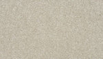 Load image into Gallery viewer, Apollo II Mohawk EverStrand carpet

