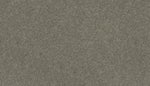 Load image into Gallery viewer, Weston Manor - ['Flute'] (['926'])
