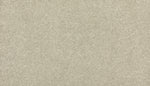 Load image into Gallery viewer, New Statement II - ['Early Frost'] (['919'])
