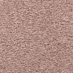Load image into Gallery viewer, Treasure Valley Mohawk EverStrand carpet
