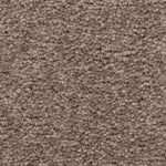 Load image into Gallery viewer, Vivid Instinct - ['Nomad'] (['879'])
