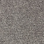 Load image into Gallery viewer, Treasure Valley - ['Sharkfin'] (['969'])
