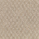 Mushroom Cap (718)