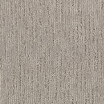 Load image into Gallery viewer, Sheer Innovation - ['Pale Taupe'] (['829'])
