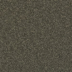 Load image into Gallery viewer, Natural Splendor I - Pine Needle (540)
