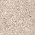 Load image into Gallery viewer, Natural Splendor I - Parchment (509)
