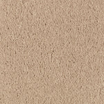 Load image into Gallery viewer, Natural Splendor I - Maple Tint (503)
