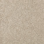 Load image into Gallery viewer, Natural Splendor I - Sand Dollar (517)
