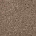 Load image into Gallery viewer, Nature's Charm I - Cat-Tail (508)

