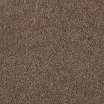 Load image into Gallery viewer, Natural Splendor I - Nutmeg (512)
