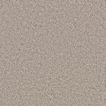 Load image into Gallery viewer, Nature's Charm I - Mineral Grey (526)
