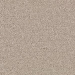 Load image into Gallery viewer, Nature's Charm I - Overcast (522)
