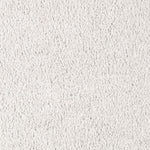 Load image into Gallery viewer, Nature's Charm II - Moonbeam (501)
