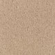 Maple Tint (503)