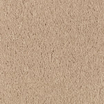 Load image into Gallery viewer, Natural Splendor II - Maple Tint (503)
