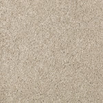 Load image into Gallery viewer, Natural Splendor II - Sand Dollar (517)
