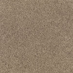 Load image into Gallery viewer, Nature's Charm II - Urban Taupe (523)
