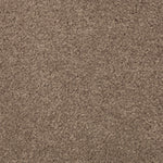 Load image into Gallery viewer, Natural Splendor II - Cat-Tail (508)
